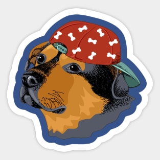 Portrait of a rottweiler in the baseball cap Sticker